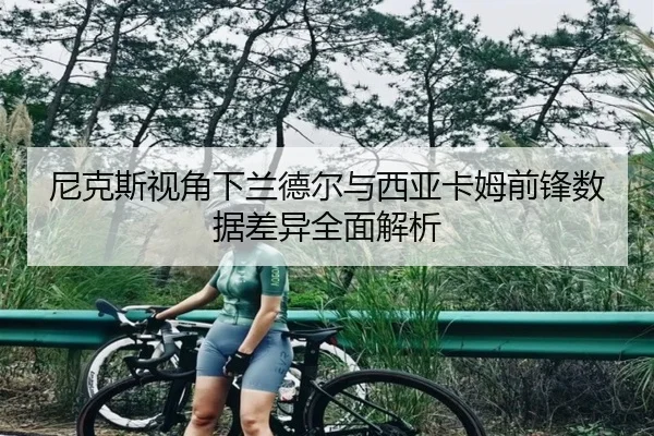 尼克斯视角下兰德尔与西亚卡姆前锋数据差异全面解析 - kaiyun
